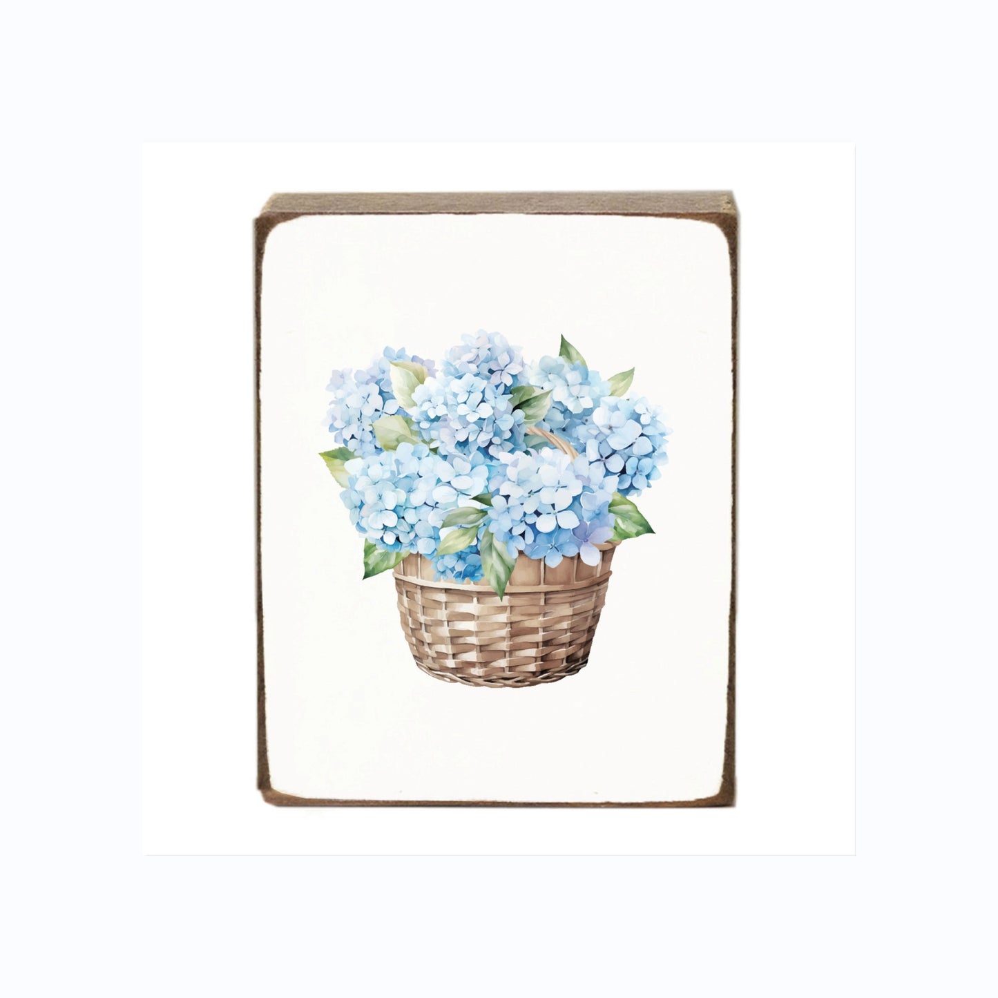 Blue Hydrangea Gift Set